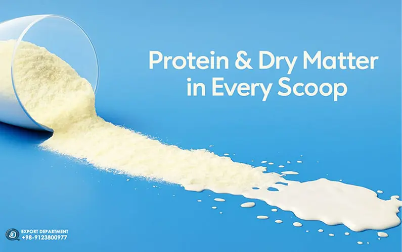 The amount of protein and dry matter of milk powder